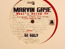 MARVIN GAYE What's Going On USA PROMO 12