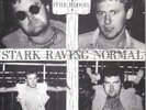 The Blood - Stark Raving Normal 1983 Original Pressing Punk
