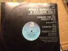 AFRIKA BAMBAATAA & SOUL SONIC FORCE - LOOKING FOR THE PERFECT BEAT 12
