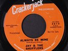 JAY & SHUFFLERS: Always Be Mine / When The Lights Are Low 45 (dj) rare Soul