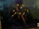 MOODY BLUES ON THE THRESHOLD OF A DREAM HALF SPEED MASTERED NM