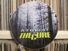 THE CURE - A FOREST  12
