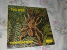 The Web ?LP vynil 2d LP British Psychedelic famous Band