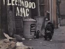 Fleetwood Mac vinyl LP album record Peter Green's Fleetwood Mac - 1st - G UK