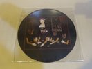 NM UNPLAYED  The Jesus Lizard Liar RARE ORIG. 1992 TOUCH & GO PICTURE DISC LP