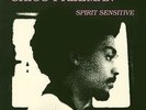 Chico Freeman Spirit Sensitive 12