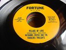 Nathaniel Mayer & Fabulous Twilights 60s DETROIT R&B SOUL 45 Village of Love / I