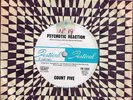 COUNT FIVE - PSYCHOTIC REACTION - RARE 7
