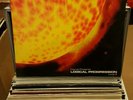 INTENSE presents LOGICAL PROGRESSION LEVEL 3 GLRLP003 3X12