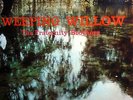 THE FRATERNITY BROTHERS I° EP WEEPING WILLOW  PASSION FLOWER+ 3 RARE  ITALY 1959
