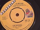 Al Williams I Am Nothing