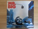 MR. BIG Bump Ahead Korea Vinyl LP 1993 INSERT