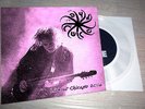 THE CURE - Live At Chicago, IL 2016, CLEAR 7