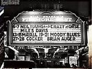 Live at the Fillmore East [LP] by Neil Young (Vinyl, Nov-2008, Reprise)