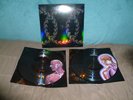 TOOL lateralus 2LP PICTURE DISC 2000 NM VINYL