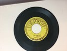 ROCK 45 RPM RECORD- CARL PERKINS - SUN 234