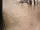 BON IVER - For Emma Forever Ago - Vinyl (LP)
