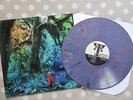 JACCO GARDNER - CABINET OF CURIOSITIES 12