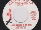 The Rivingtons 