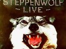 Steppenwolf 