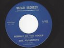 RARE SURF/GARAGE INSTRUMENTAL ROCKER- AQUANAUTS- 