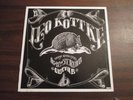 Leo Kottke  6 & 12 String Guitar audiophile grey vinyl 200G on Classic Records