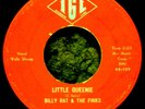 45 Rock BILLY RAT & THE FINKS Little Queenie / All American Boy 1966 IGL 45-122