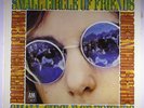 ROGER NICHOLS Small Circle Frnds ORIG 12