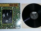 THE LEAVES Hey Joe LP 1966 MIRA LP 3005 MONO Rare Fuzz Psych Garage HEAR