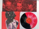 PIG DESTROYER Terrifyer LP deafheaven.melvins.neurosis.isis RED BLACK VINYL /100