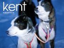 Kent - 