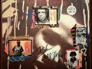 Ziggy Marley Autograph Vinyl Record
