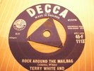 Rare British Rock n Roll  Terry White & Terriers 