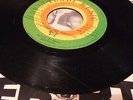 * Rebirth - Fighting For Survival * Deep and very rare Listen