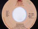 Funk 45 FOSTER SYLVERS Misdemeanor PRIDE HEAR