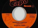 Burning Spear 