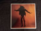 The Last Shadow Puppets - Everything You've Come To Expect Deluxe LP Album Vinyl