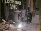 Peter Green's Fleetwood Mac: First Album Vinyl Album/LP