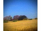Sun Kil Moon Benji Vinyl LP MINT Black 1st press Red House Painters Mark Kozelek