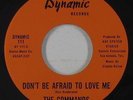 Northern Soul 45 - Commands - Don't Be Afraid To Love Me - Dynamic - VG++ mp3