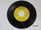 45 RPM Wild, Wild Party, Darryl Vincent on Sandy 45-1020