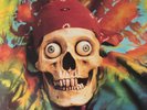 The Grateful Dead / The Warlocks  ?– The Warlocks: 20th Anniversary 2 x LP