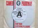TERRY KNIGHT & THE PACK I [Who Have Nothing] UK 7