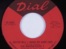 Northern/Sweet Soul 45 MAGNIFICENT 7 Never Will I DIAL HEAR