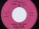 Northern Soul Funk/Deep Soul 45 NORFLEET COUSINS Brown Eyed Devil GEMINI HEAR