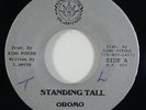 Oromo 