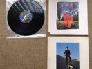 pink floyd wish you were here
