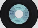 The Thirteenth Floor Elevators 45 Tried To Hide/You're Gonna Miss Me IA fuzz EX