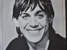 Iggy Pop - Lust For Life Vinyl Virgin 1990 EX