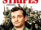 ELMER BERNSTEIN STRIPES MOTION PICTURE SOUNDTRACK BRAND NEW SEALED VINYL LP